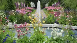 פאזל של primavera