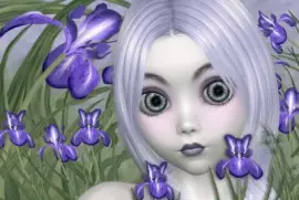 Fadas, duendes e ninfas.