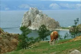 פאזל של NATUREZA