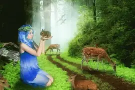 פאזל של fantasia