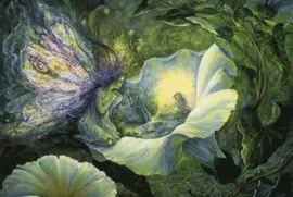 Fadas, duendes e ninfas.