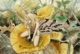 Fadas, duendes e ninfas.