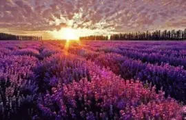 ä¸–ç•Œé¢¨æ™¯