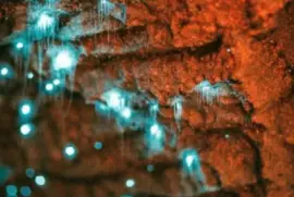 ä¸–ç•Œé¢¨æ™¯