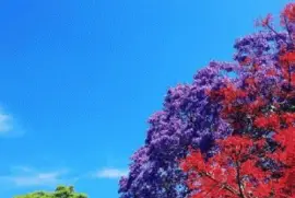 ä¸–ç•Œé¢¨æ™¯