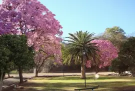En Rosario de la Frontera. Salta. Argentina