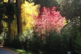 En Bariloche. RÃ­o Negro. Argentina