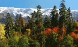 borjomi kharagauli national park