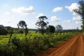 En Puerto Rico. Misiones. Argentina