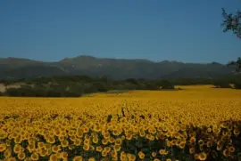 En Alta Gracia. CÃ³rdoba. Argentina