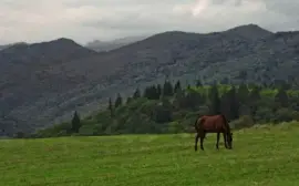 manglisi jigsaw puzzle