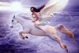 Fadas, bruxas e ninfas.