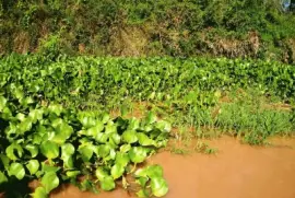 En la Provincia de Entre RÃ­os. Argentina