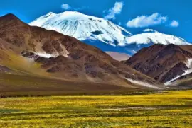 Cerca de Las Lozas. Catamarca. Argentina