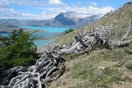 Lago Belgrano. Patagonia Argentina