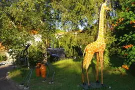 פאזל של girafe