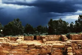 12552899_1236273939722283_897897997572722494_n