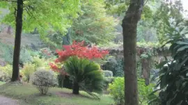 nATURALEZA, PAIS VASCO