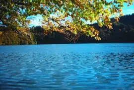 פאזל של Beau lac en Auvergne