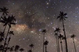 פאזל של majestuoso