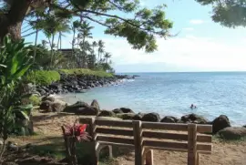 å¤å¨å¤· jigsaw puzzle