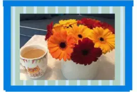 ×¤×¨×—×™×