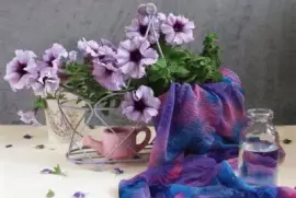 Beautiful Petunia Still Life- Art