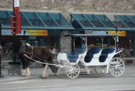 å°éŽ® jigsaw puzzle