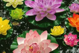 imagens jigsaw puzzle