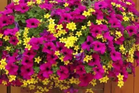 imagens jigsaw puzzle