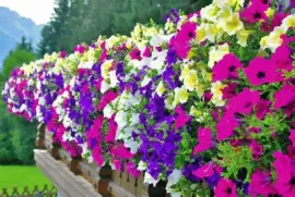 imagens jigsaw puzzle