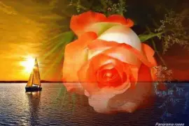 imagens jigsaw puzzle