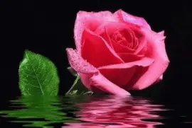 imagens jigsaw puzzle