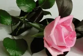 imagens jigsaw puzzle