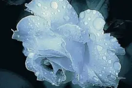 imagens jigsaw puzzle