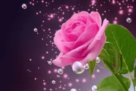 imagens jigsaw puzzle