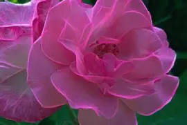 imagens jigsaw puzzle