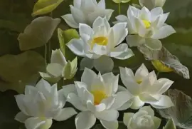 imagens jigsaw puzzle