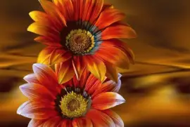 imagens jigsaw puzzle