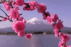 imagens jigsaw puzzle