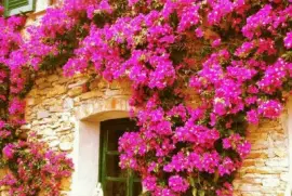 imagens jigsaw puzzle