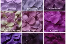 Shades of Purple Petals