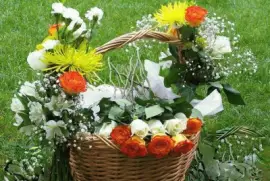 imagens jigsaw puzzle