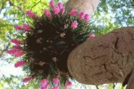 imagens jigsaw puzzle