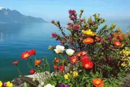 imagens jigsaw puzzle