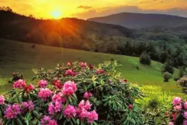 Paisagem jigsaw puzzle