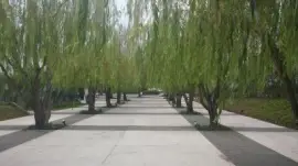 Jardines de MÃ©xico 1