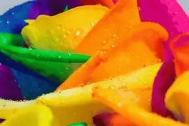 Colors jigsaw puzzle