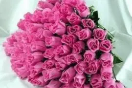 flores jigsaw puzzle