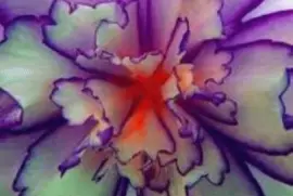 flores jigsaw puzzle